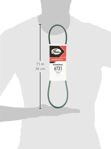 -6731 Belt, Black, 31" x 3/8"
