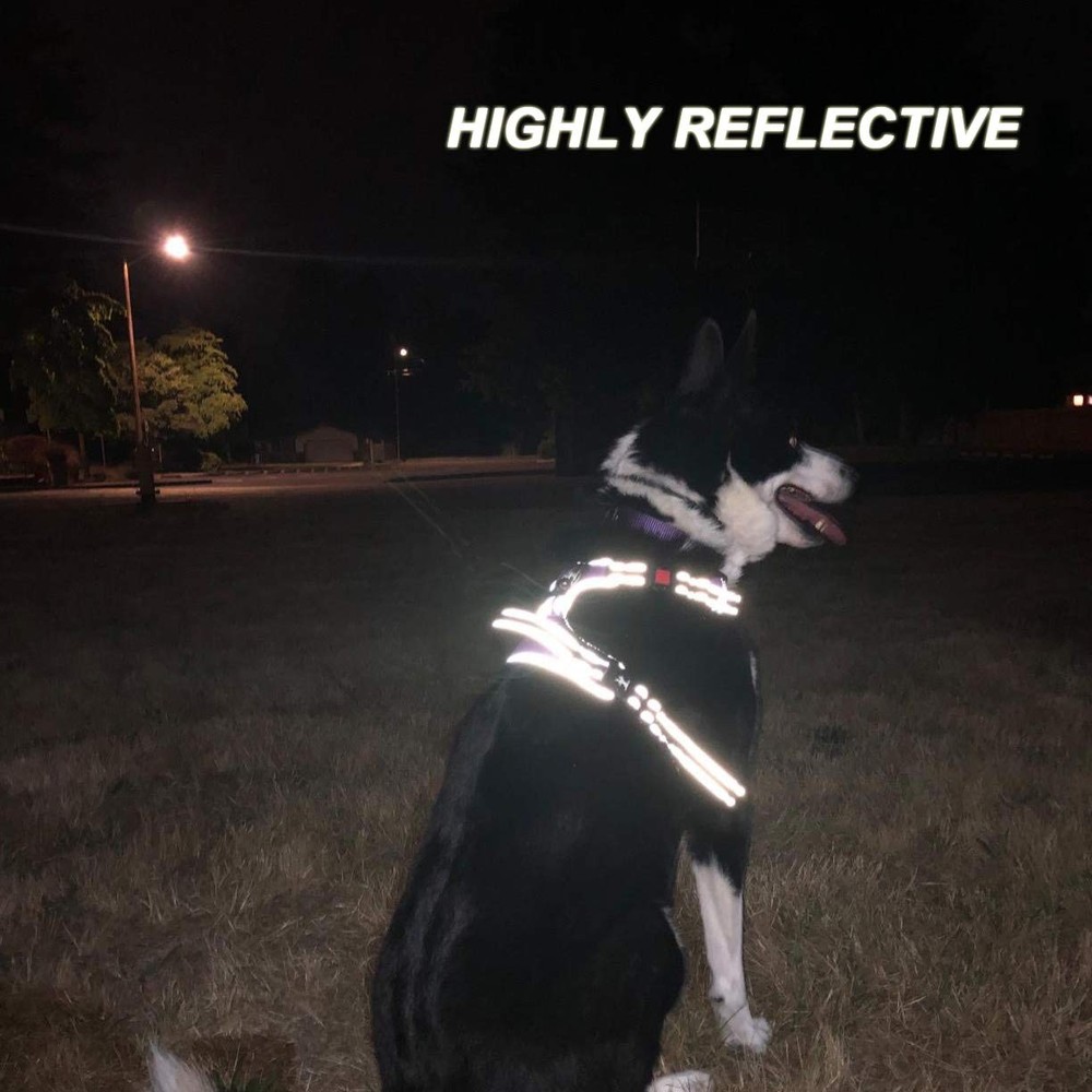 No Pull Dog Harness, [Release on Neck] Reflective Adjustable No Choke Pet Ves...