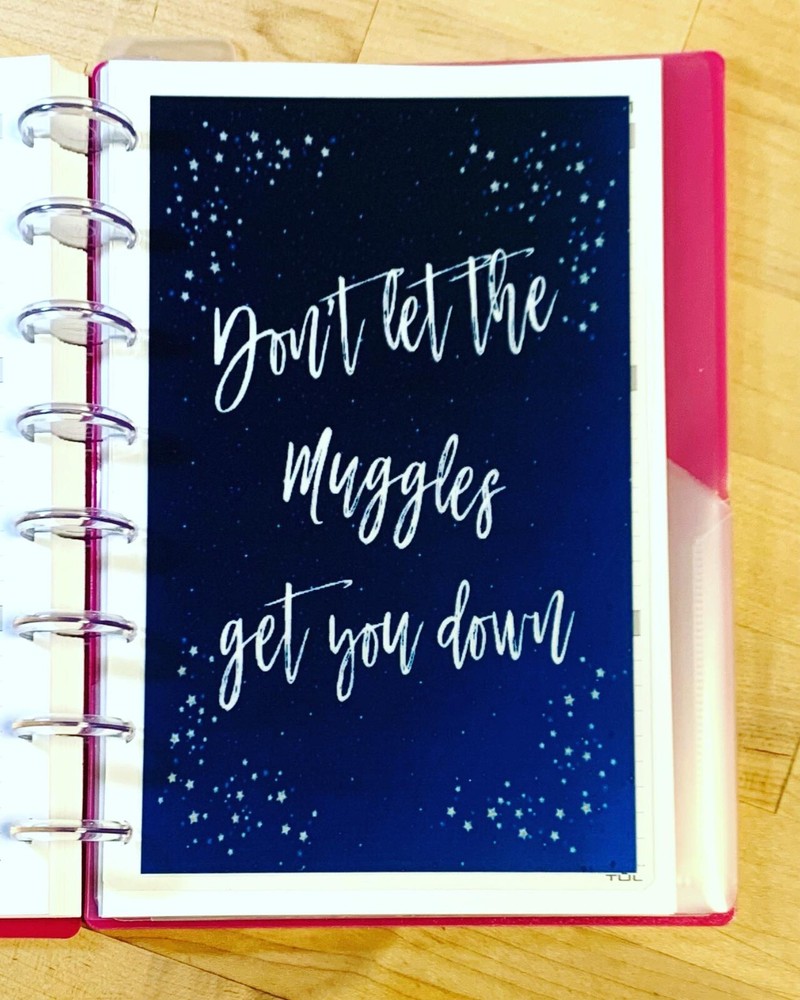 Don't Let the Muggles Get U Down  DASHBOARD 4 use w/ TUL/Arc (8 disc) Planner