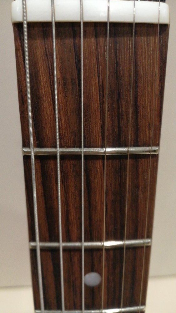 SCHECTER RJ-1-24-TOM Electric Guitar-01