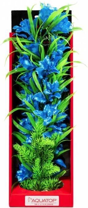 Premium Quality Vibrant Aquarium Plant Blue
