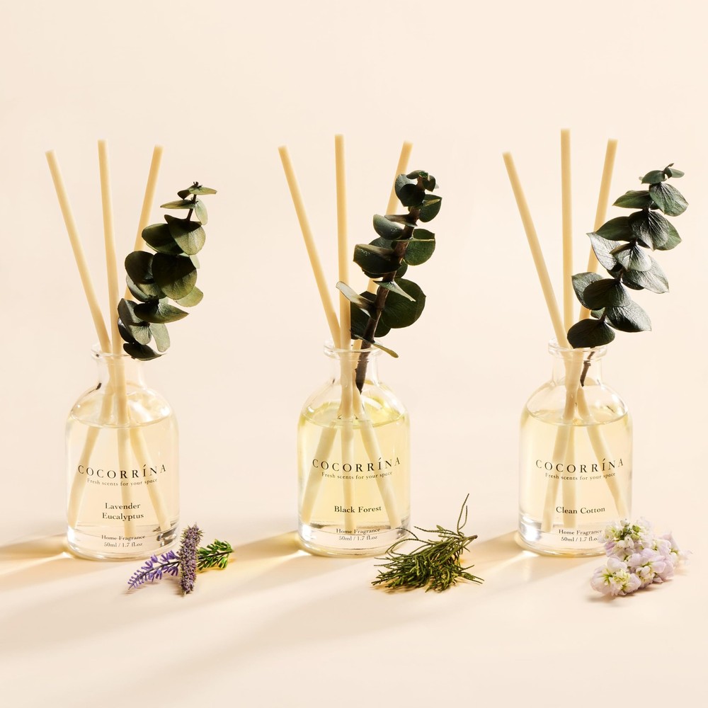 COCORRÍNA Eucalyptus Reed Diffuser Set of 3 - Lavender Eucalyptus, Clear
