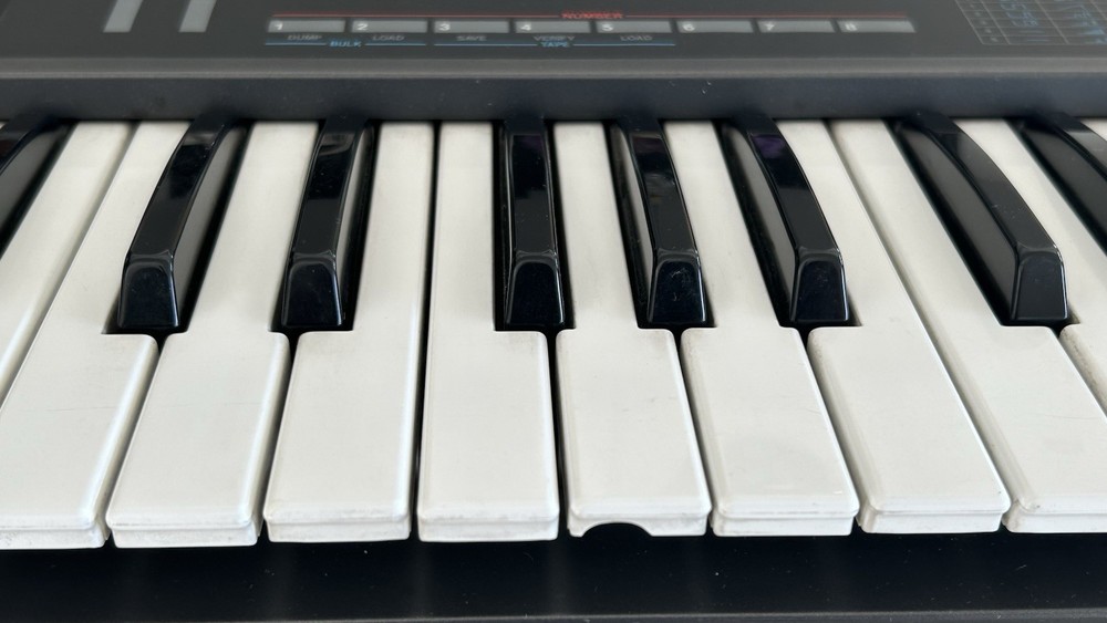 Roland Alpha Juno-1 Programmable Polyphonic Synthesizer 49-Key 220 Volt