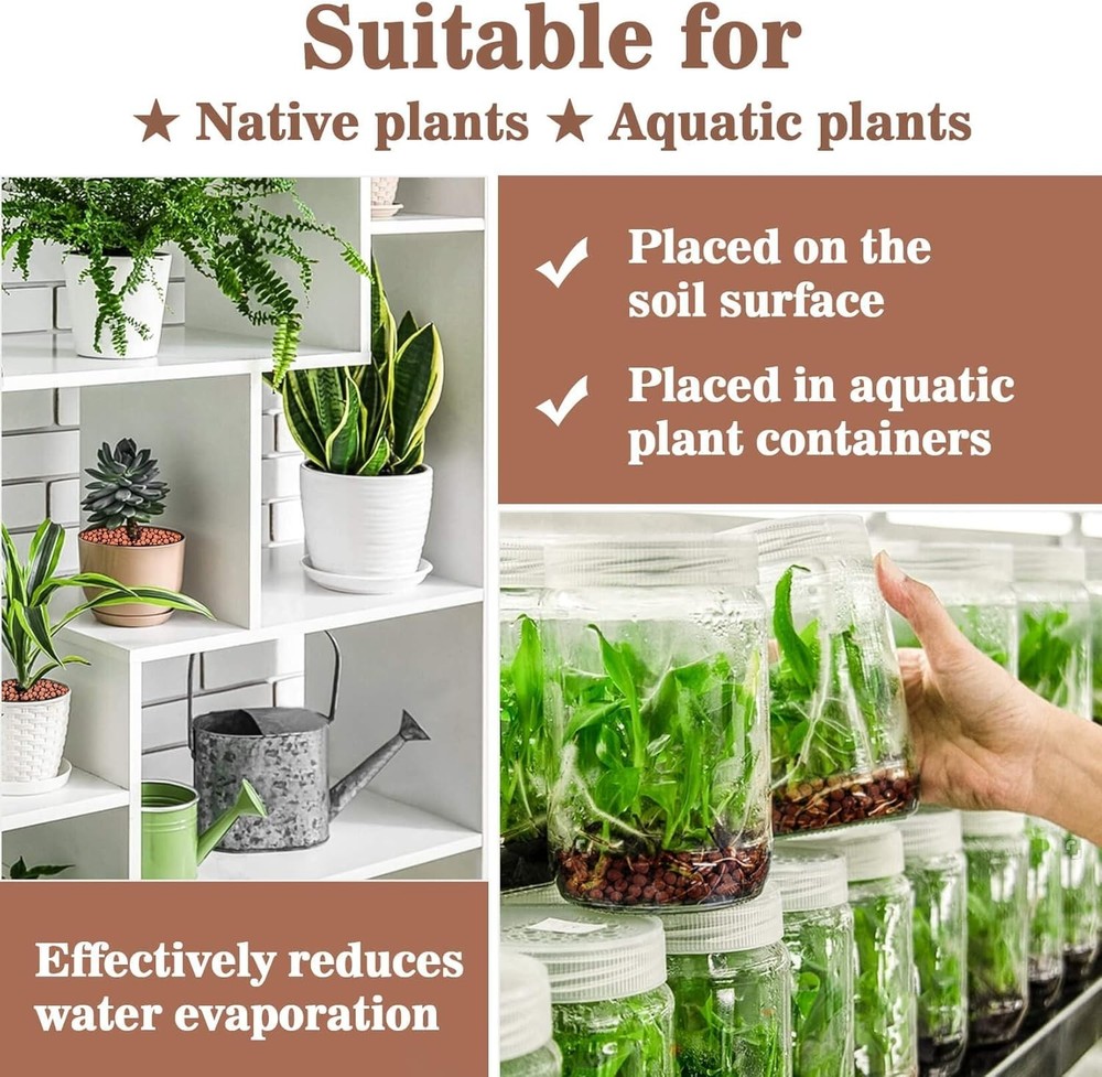 4 OZ Clay Pebbles for Plant Drainage & Decoration - Hydroponics Solution