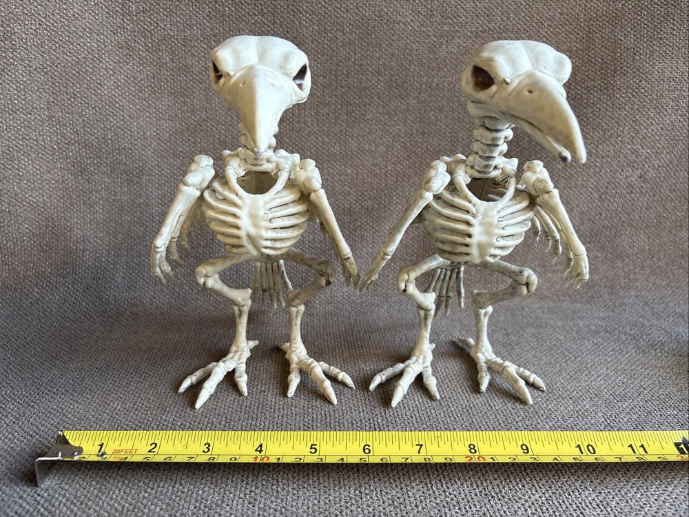Two Halloween Crow Skeleton Tabletop Bird Bones Decoration