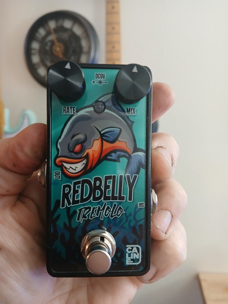 caline red belly tremelo