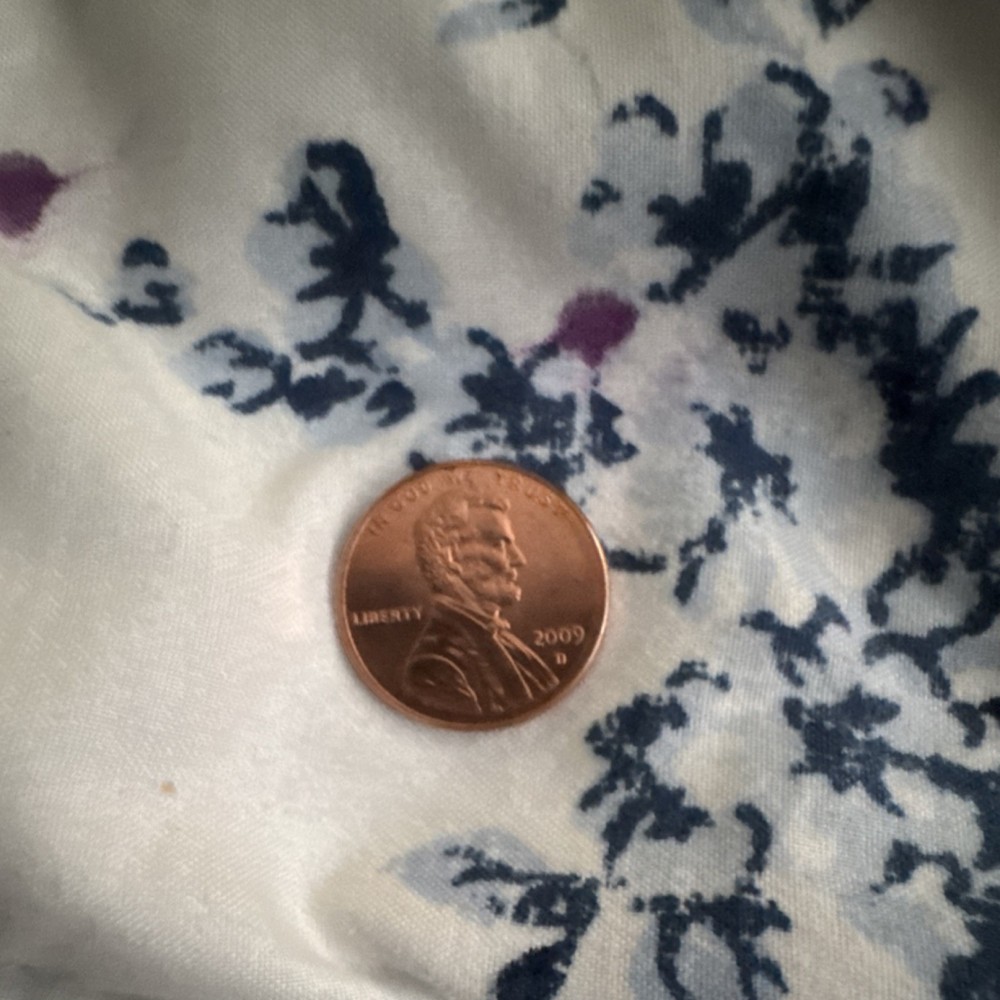 2009 Lincoln Bicentennial Formative Years D Mint Uncirculated Small Cent