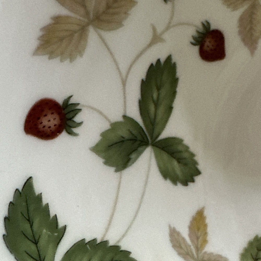Wedgewood WILD STRAWBERRY Teacup