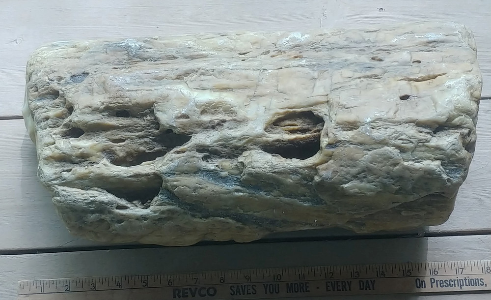 Petrified Wood or Rock