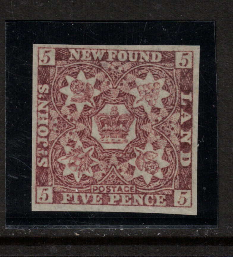 Newfoundland #19 Extra Fine Never Hinged