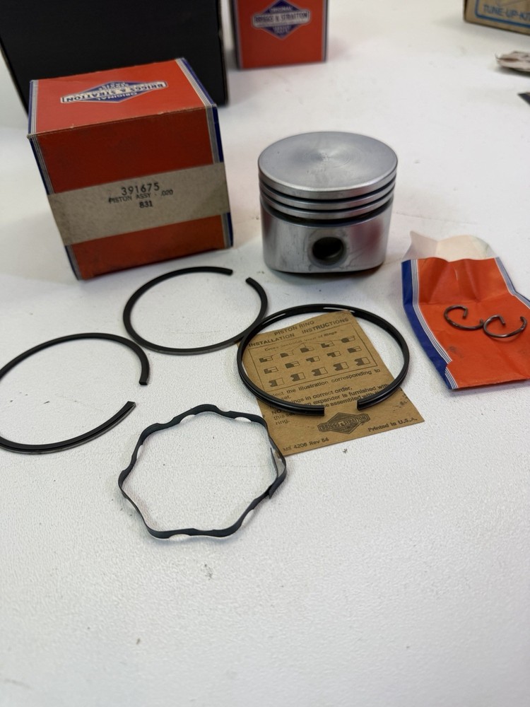Briggs & Stratton 391675 PISTON/RING KIT