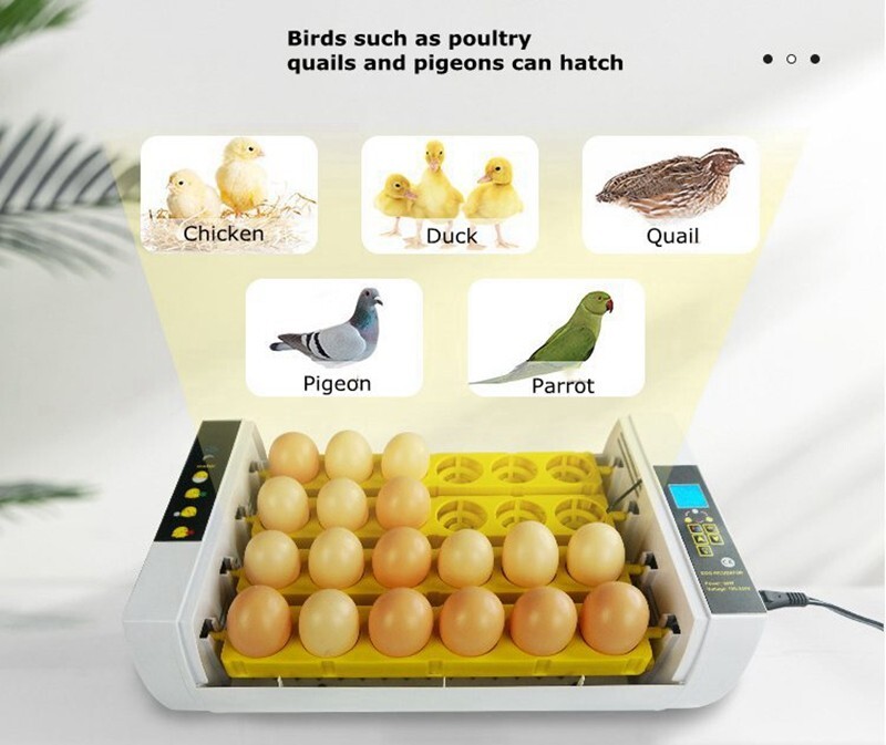 24 Eggs Automatic Egg Incubator Bird Poultry Hatcher Breeder Digital Display
