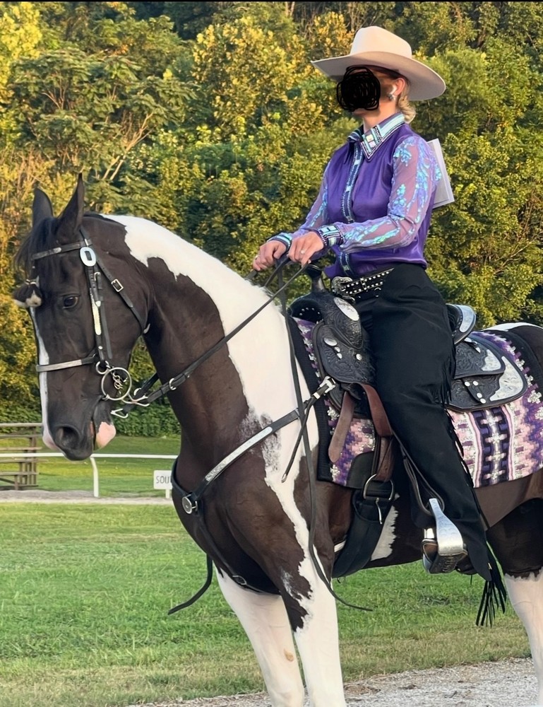 Western Show Shirt and Saddle Pad