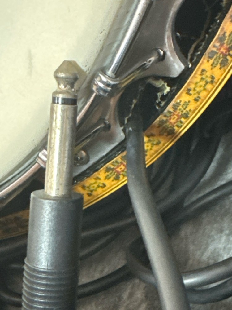 PALMER GUITAR 5-STRING BANJO (PSO039330)