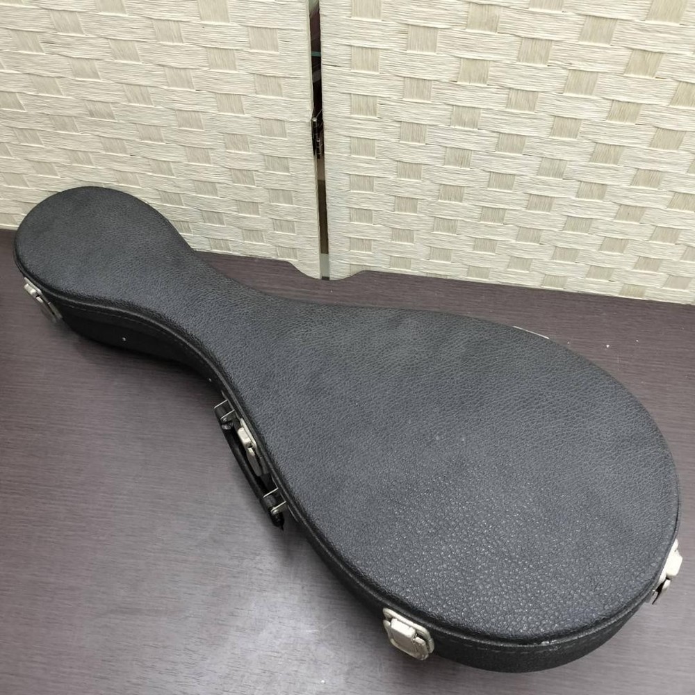 Mandolin SUZUKI M-215 with hard case
