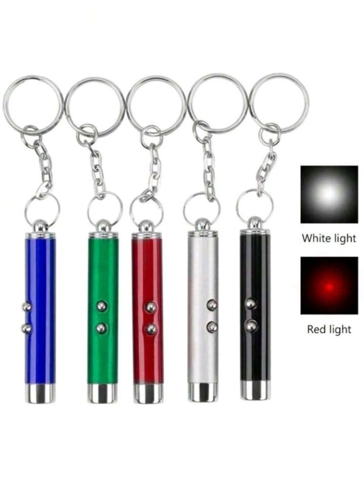 Laser Pointer Pen with Flashlight