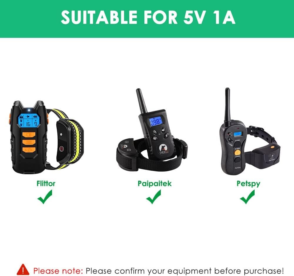 Lithium UPS Battery Backup Surge Protector