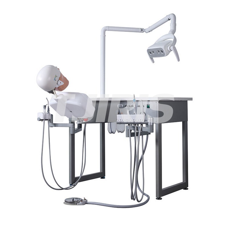 Dental Practice Simulator System Teaching Device Patient Manikin Phantom Model