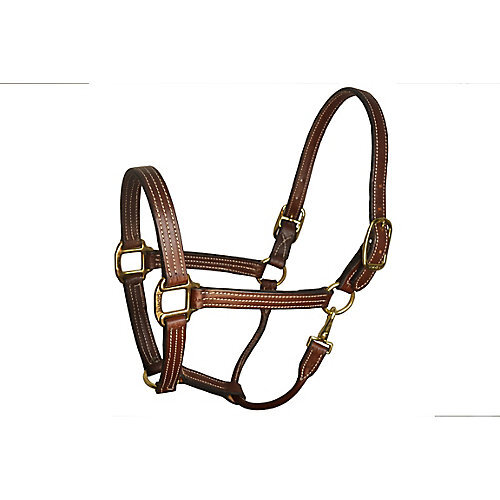 Perri's Perris Leather Havana Stable Halter