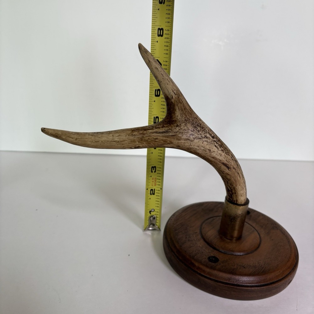 Antler Display