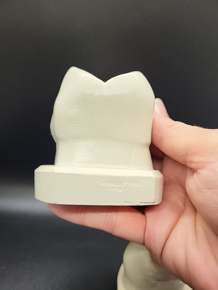 Two Weird Tooth Models 1970's