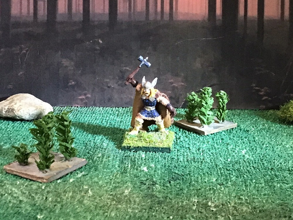 Viking Prince 25mm
