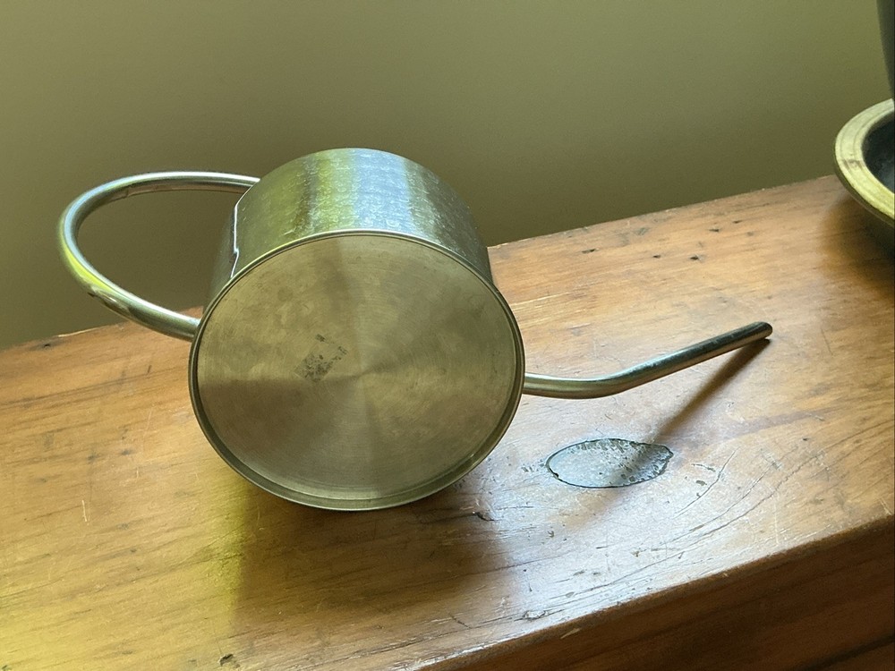 Modern Clean Design Stainless Steel Watering Can