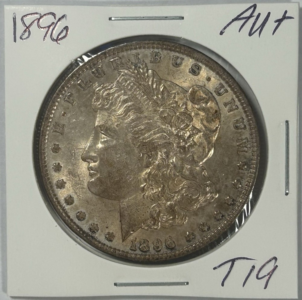 1896 Morgan Silver Dollar Coin Toned
