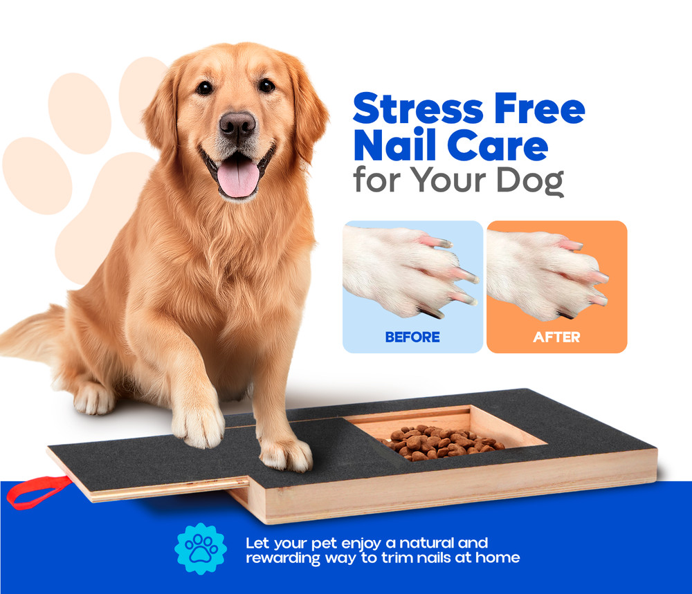 dog scratch pad for nails