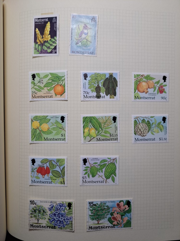 B.Com COLLECTION IN ALBUM Letter M