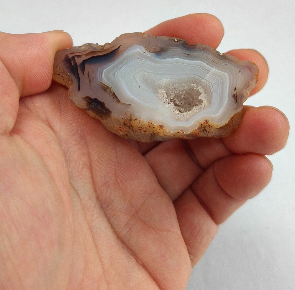 Natural Dendritic Agate Slice - Rare Eagle Point Specimen with Intricate Pattern