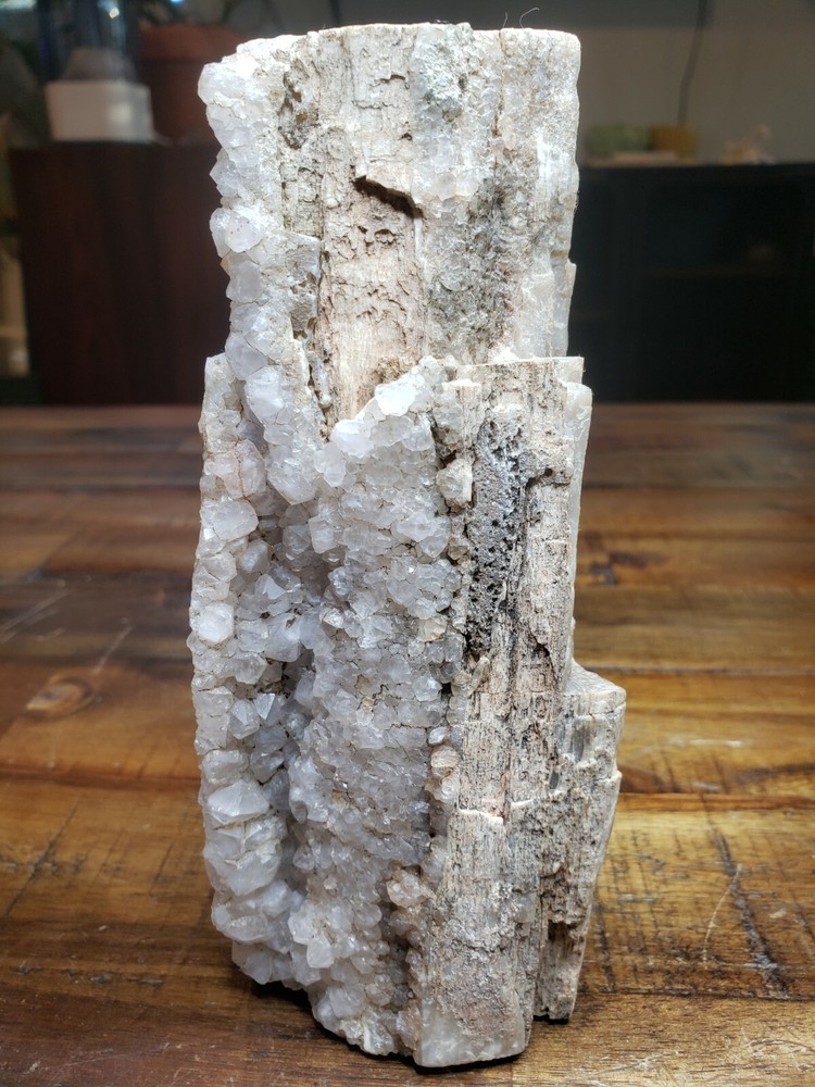 Crystalized Petrified Wood with vien 2.6lbs