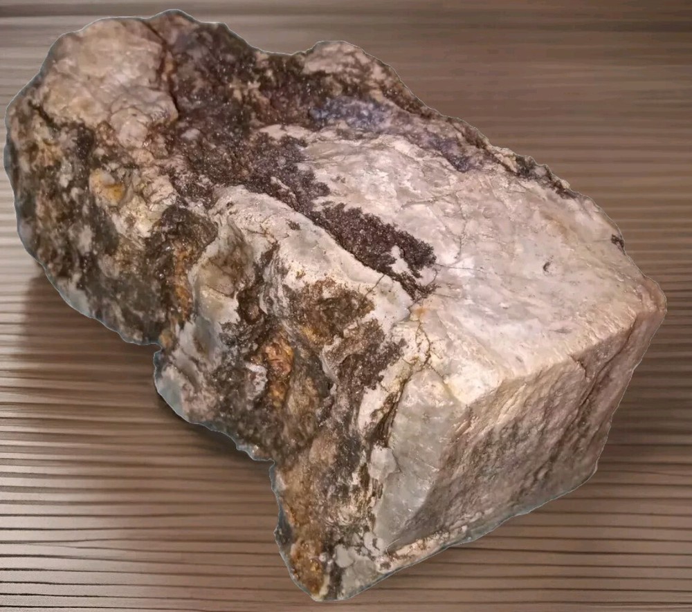 Petrified Wood Opalized Rough AZ 2 lbs 8 oz