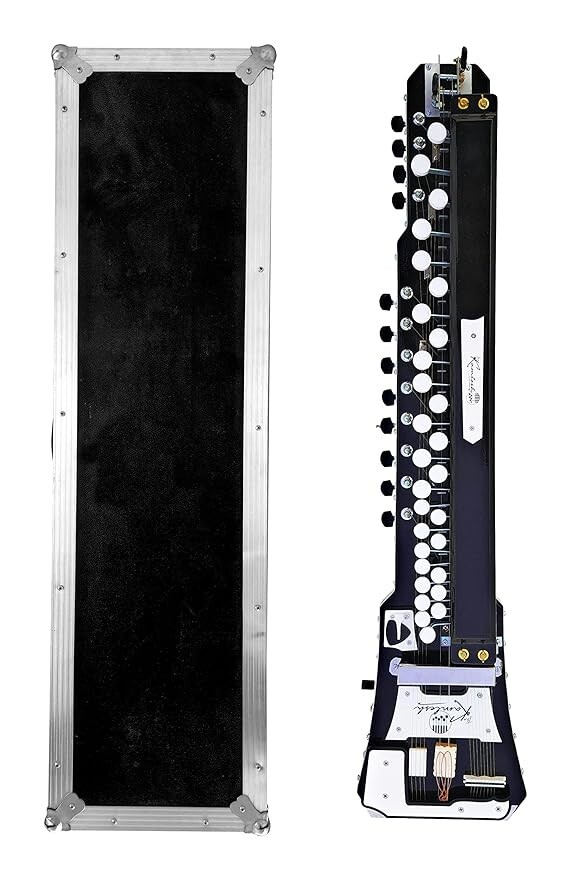 Bulbul Tarang Folk Musical Professional Electronic Banjo String Instrument
