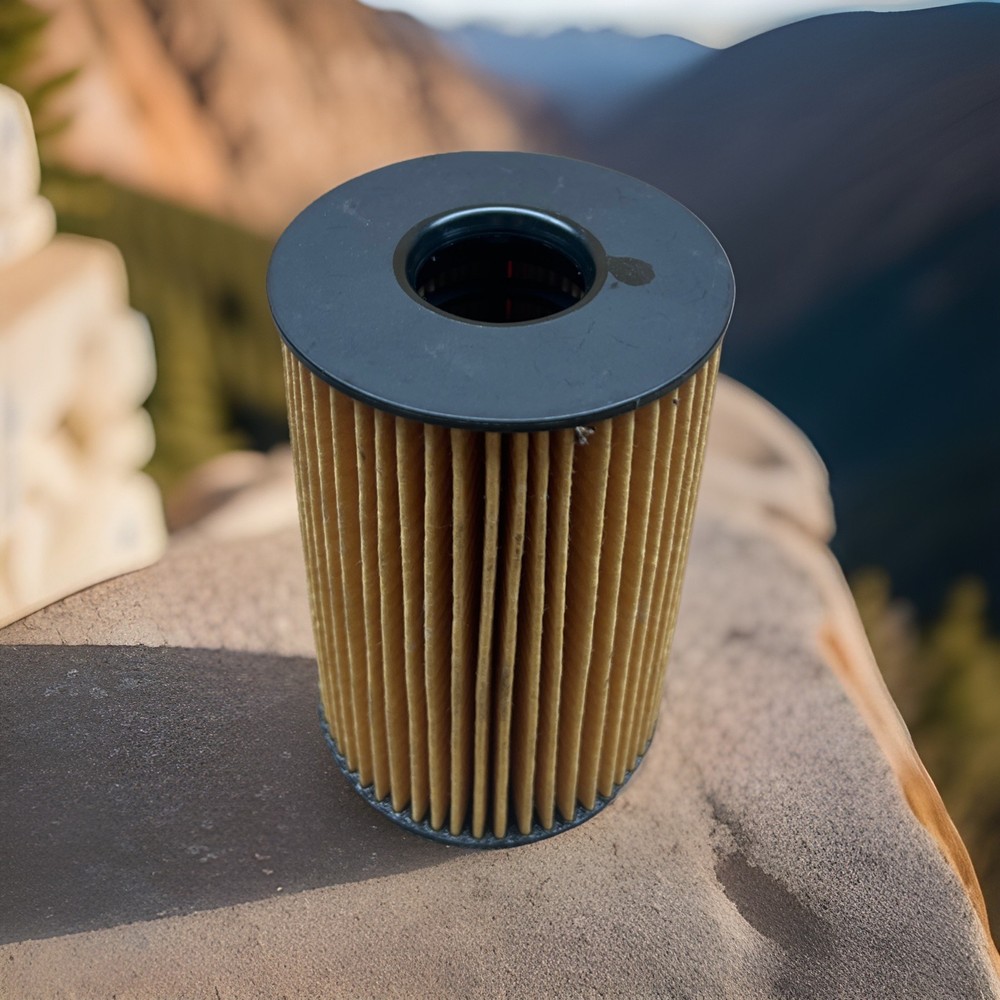 E359H D306 Oil Filter