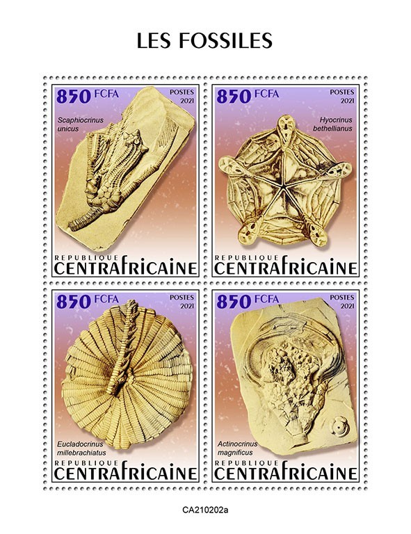 Fossils