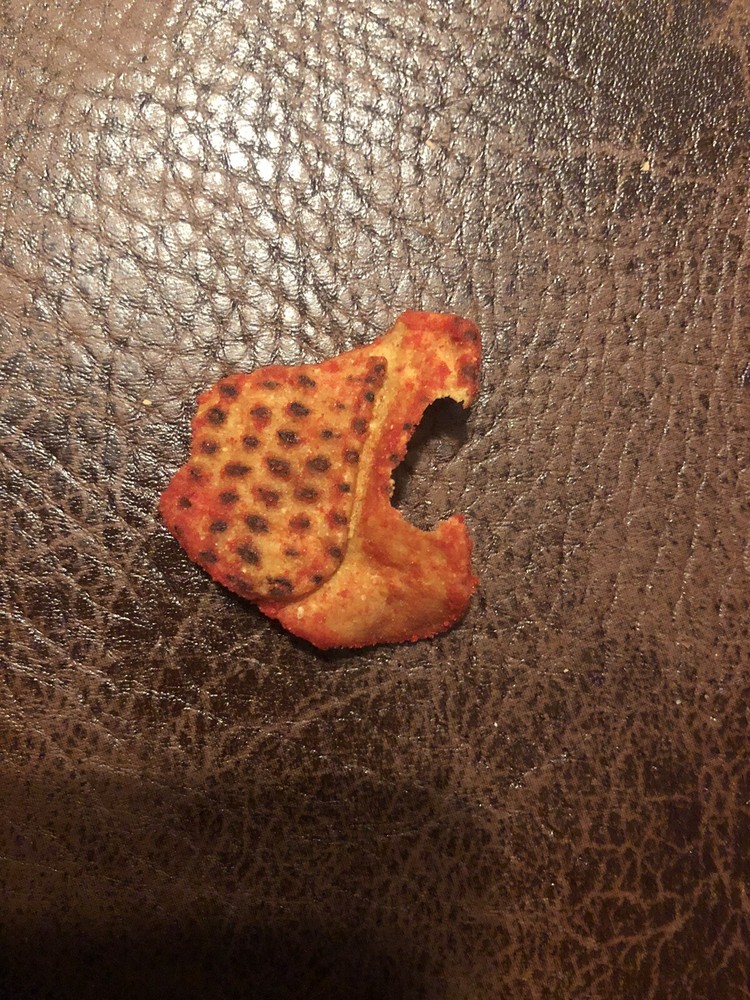 Deformed Taki Chip snapping turtle look