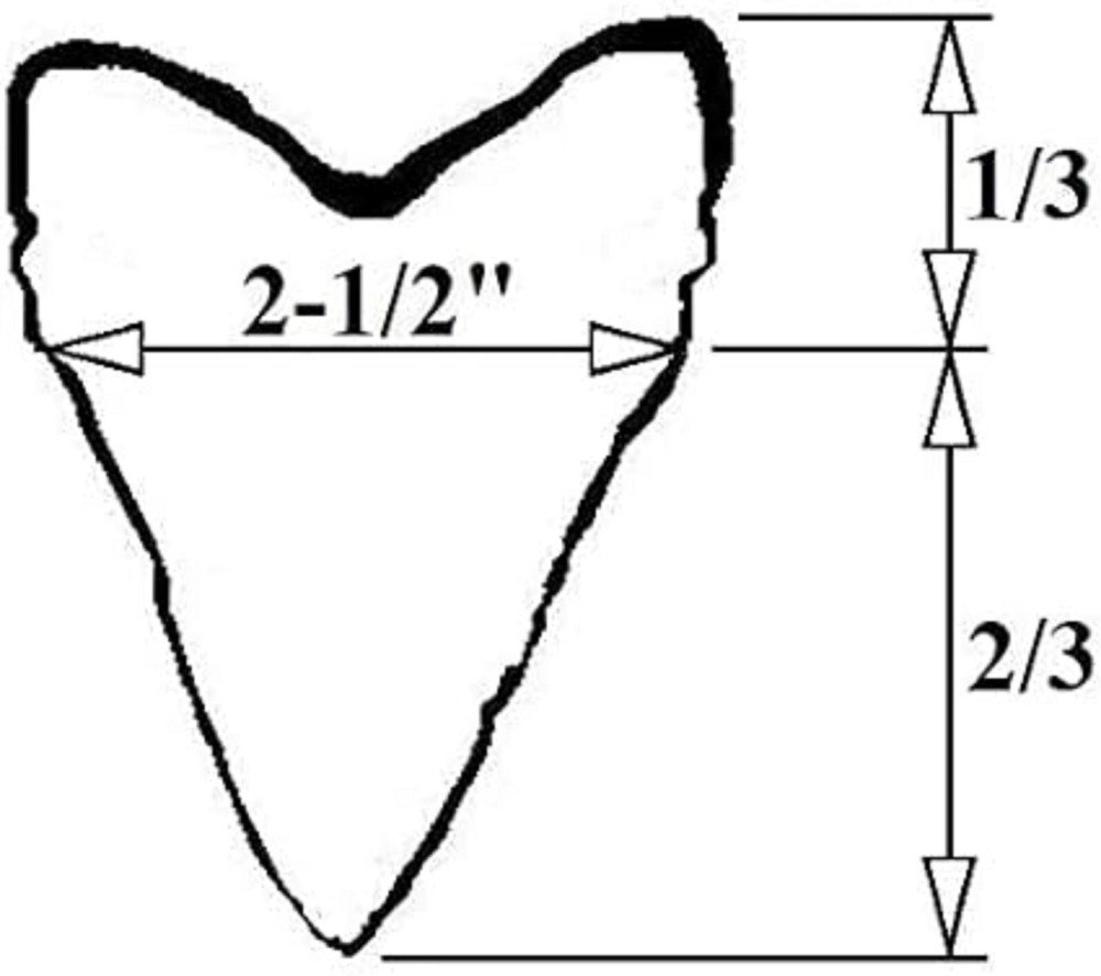 3D Printed Megalodon Shark Tooth Display Stand