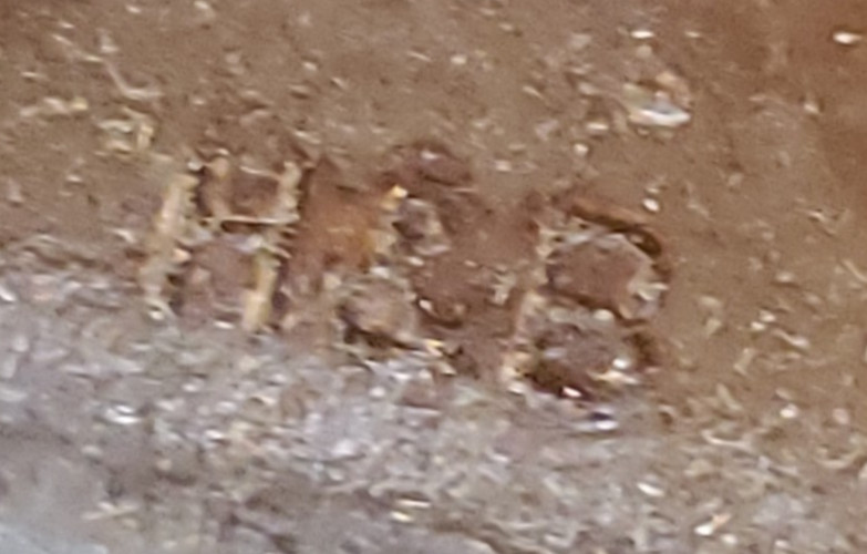 H&B Large Tomahawk Camp Axe With Leather Sheath 20"