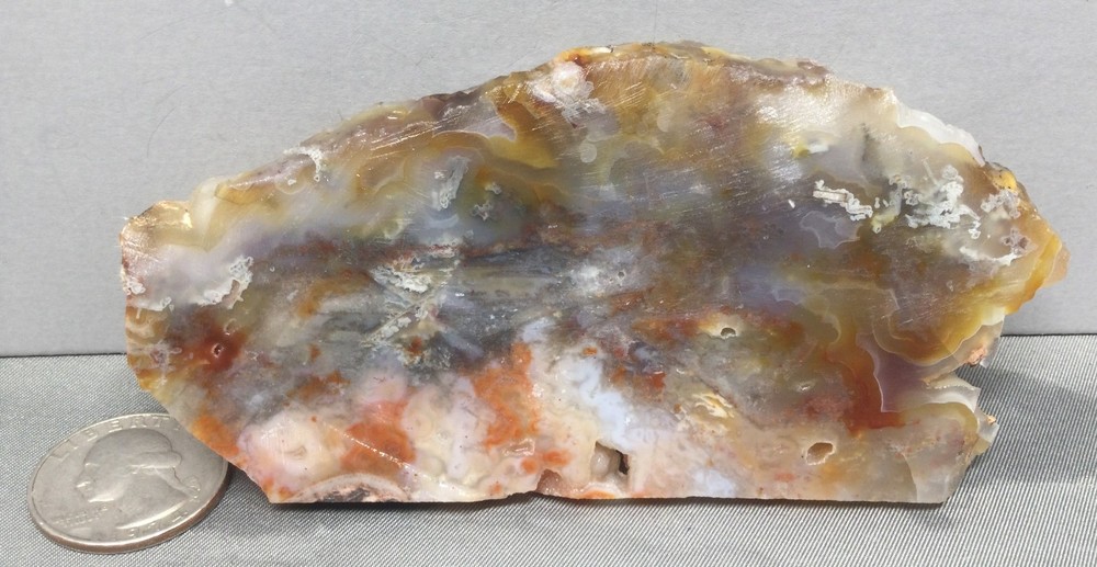 Opalized Agate rough slab for cabbing. Mesmerizing! #OA-002