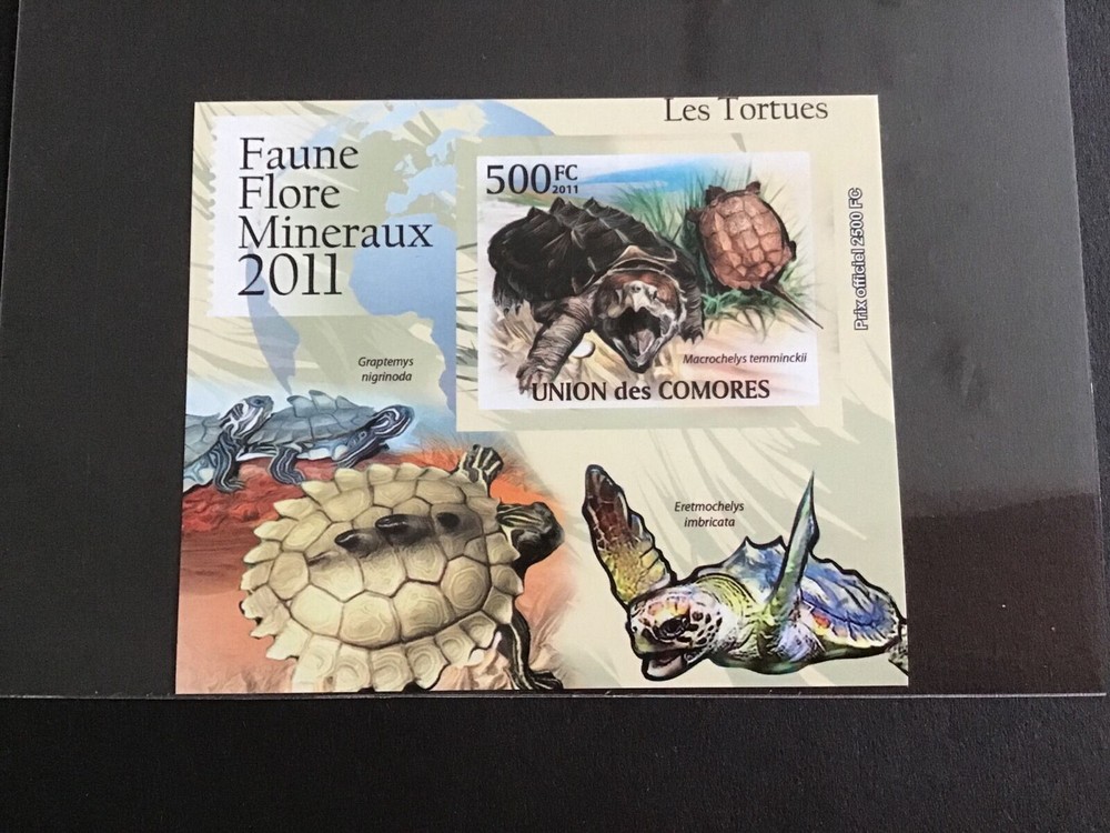 Unión des Comores 2011  Turtles Mini Stamp Sheet R39053