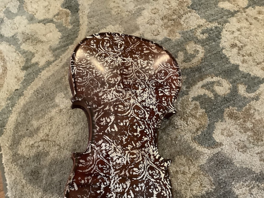4/4 Violin With Custom Maple Back