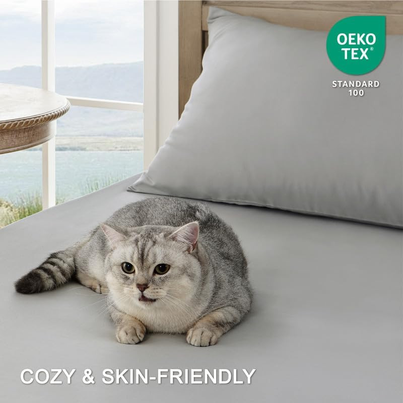 Bed Sheets - Ultra Soft Sheets for Bed - Brushed Twin 03 - Light Grey