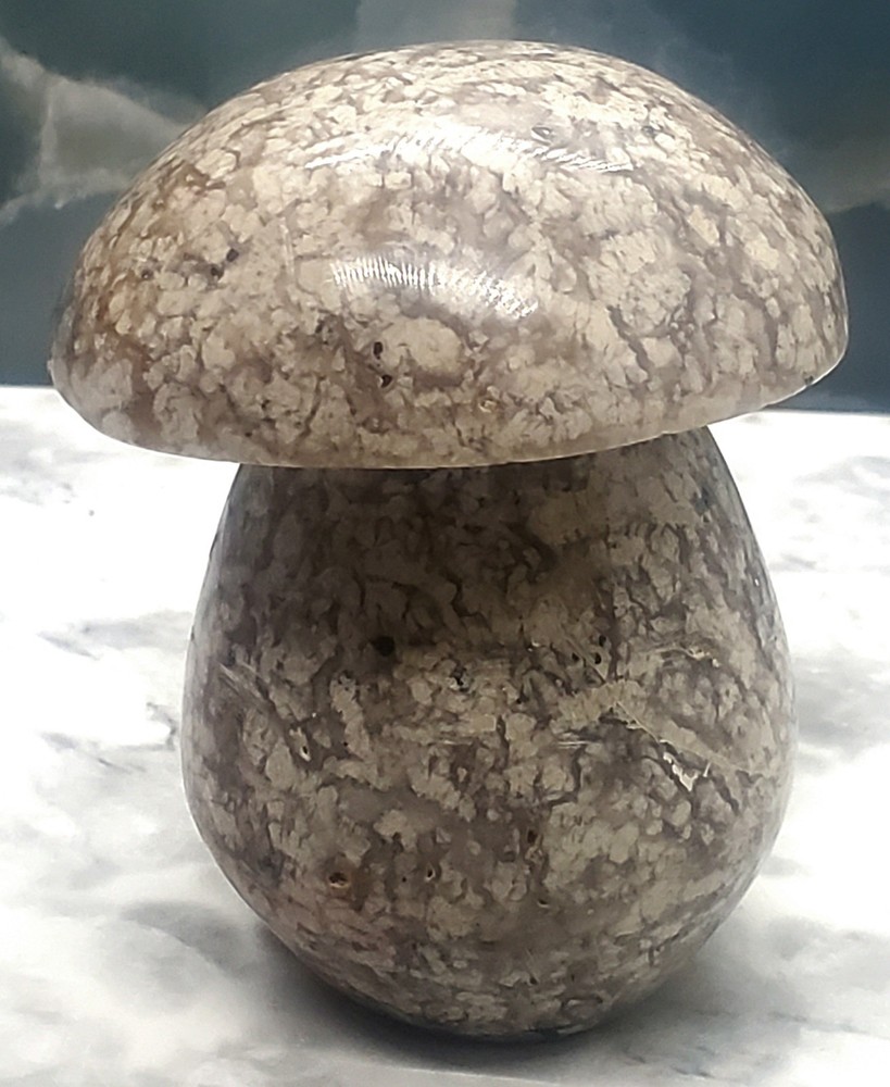 2.8 Inch Large Ocean Jasper Mushroom Carving