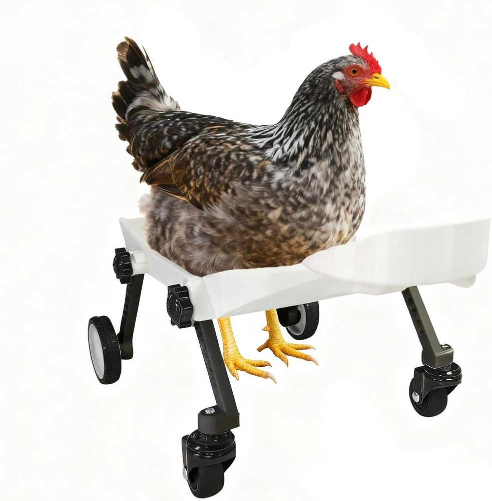 Medium-Scale Pet Chicken Wheelchair Adjustable Mobility Aid Cart