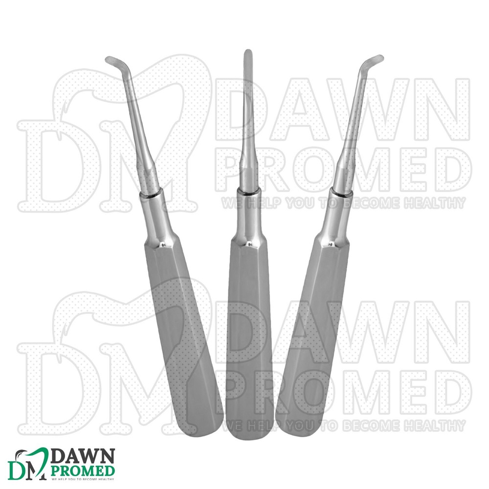 3 Pcs Warwick James Root Elevator Set Dental Luxating Root Elevators German Gr