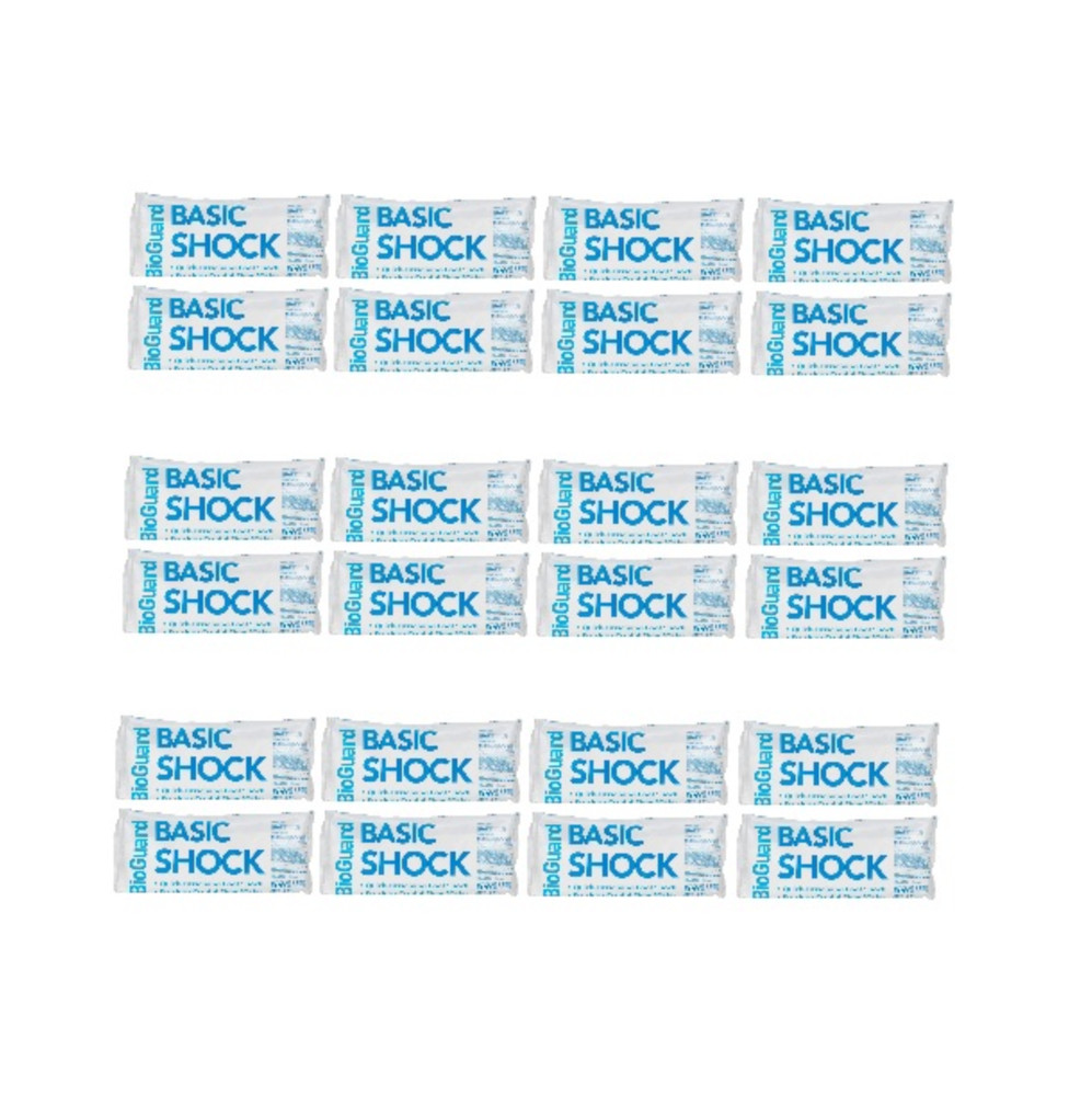 BioGuard Basic Shock (1 lb) (12 Pack)