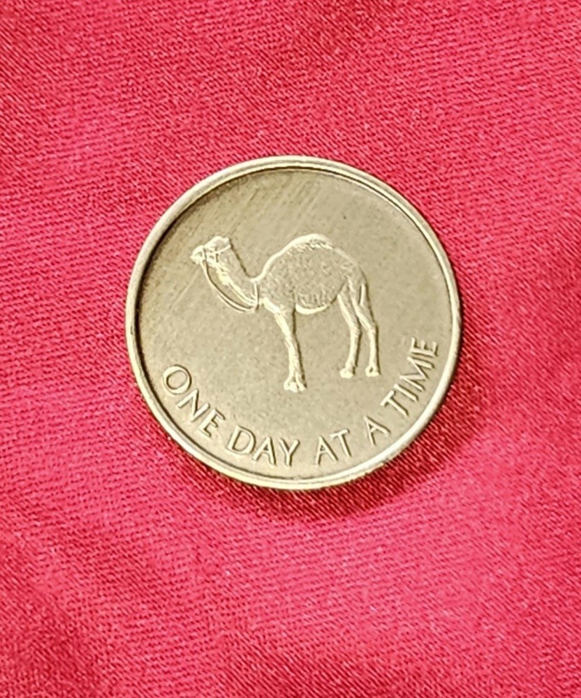 One Day At a Time AA Camel Brass Coin