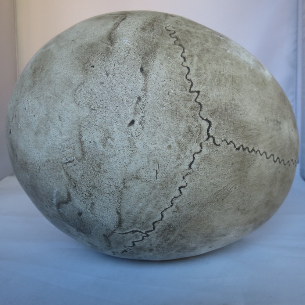 Large Heavy Cement Like Plaster Skull Skeleton Head Halloween