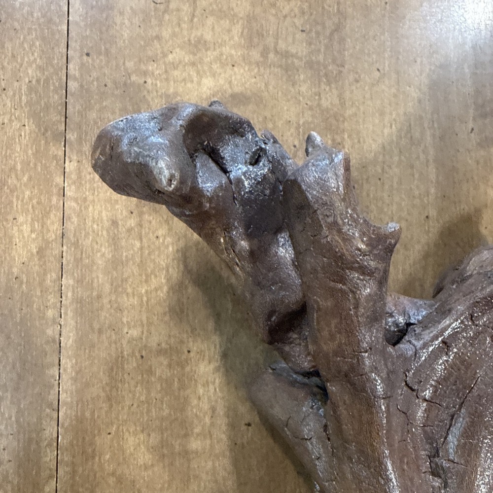 Driftwood Art Or Decoration